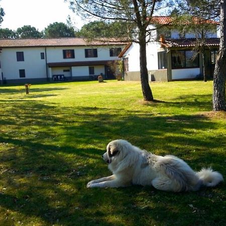 Artenatura Beb Террануова-Браччоліні Екстер'єр фото